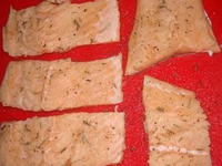 ������� ������ � �����-���������� ���� �����������