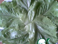 ����� "������� ����" �����������