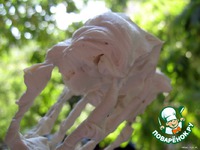 ����������� ���� ������������ �����������