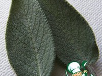 ��e��� �� ����� � ������� �����������