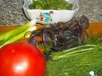 ������������ ������ ���������� ����������� �����������