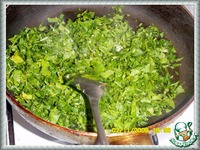 ������  �  ���������� ����  �  �������  �  ������� �����������