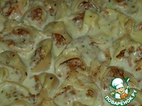 �������� � ������ �������� �����������