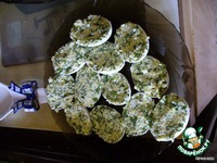 ���� ������������� �����������