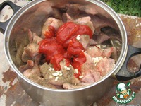 ��������-������� �����������