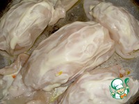 ������� � ������-��������� �������� �����������