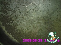 ��� ���� �����������