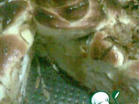 ����� � ������ �������� �����������