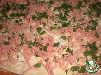 ����� "��������" �����������