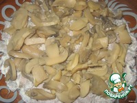 ����� "�����" �����������