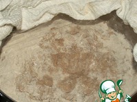 ���� �������� �����������