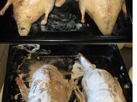 ����� ����, ������������� �������� �����������