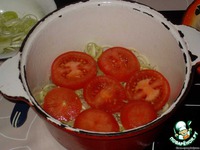 ���� � �������� �����������