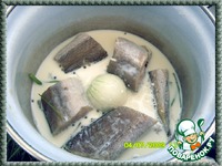 �����-������  ������ �����������