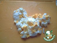  "   "  "Scarlett  8 " 