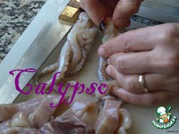 ""   - Caldeirada de lulas 