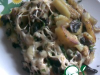 ��������� ��� ����� �����������