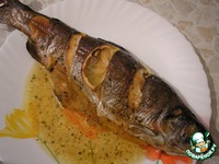 ������, ���������� � ������ �����������