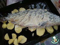 ���������� ���� �����������