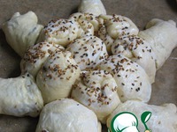 ����� "��������" �����������