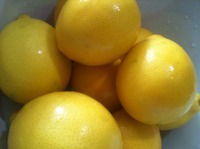 "����������" � ������� �����������