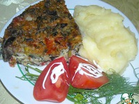 ������������ ������ ���������� ����������� �����������