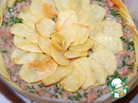 ����������� ������������ "��������" �����������