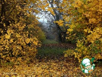 �������� ����-���� �����������