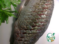 ������ ��������� �����������