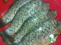 ������ ��������� �����������