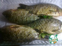 ������ ��������� �����������