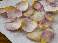 ��������� �������� �����������