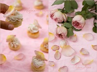 ��������� �������� �����������