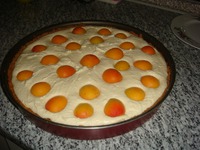 ��������-������ ����� � ���������� �����������