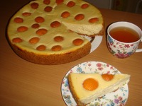 ��������-������ ����� � ���������� �����������