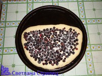 ����� "��������� �������� � �������" �����������