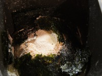 ���� ������ "���������" �����������