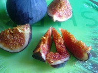 ��������� � �������� � ������� �����������