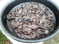 ��� ������� "�������" �����������