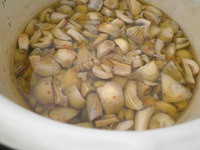 ��� ������� "�������" �����������