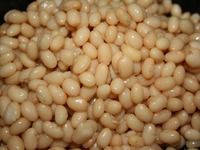 �������� ����� �� ����� ������ �����������