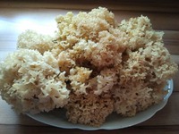 ������� ��� � ������� ������� �����������