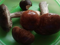 ������� ��� � ������� ������� �����������