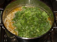 ������ ��� � ������� �����������