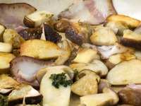 ������� �������� �����������