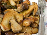 ������� �������� �����������