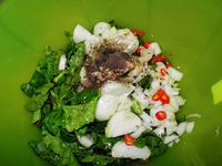 ������ �� ����� �����������