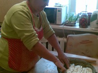 ������ ���������� �����������