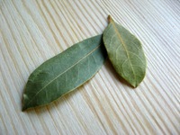 ������� �������� �� ������ ������ �����������