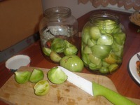 ������ ������� �������� �����������